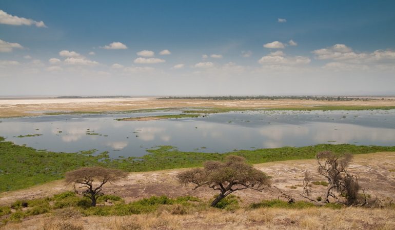 safaris of tanzania
