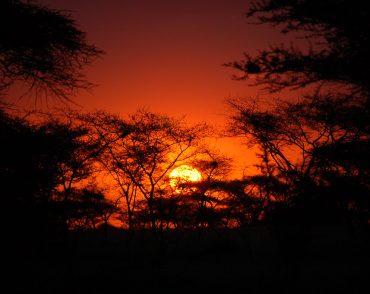 safaris tours tanzania