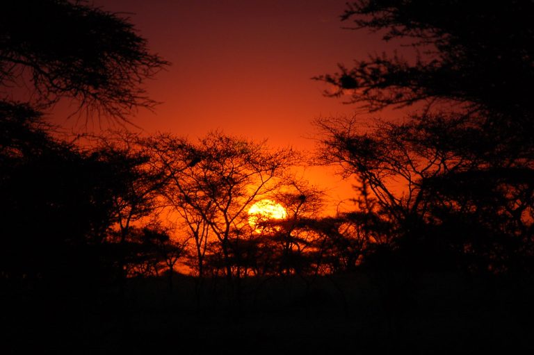 7 Day Safari Tanzania Holiday