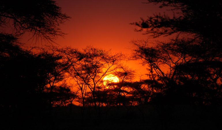 safaris tours tanzania