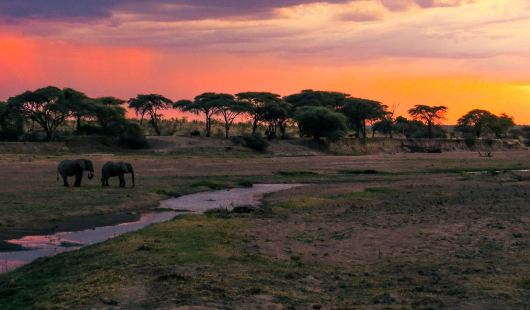 uganda safari tourism