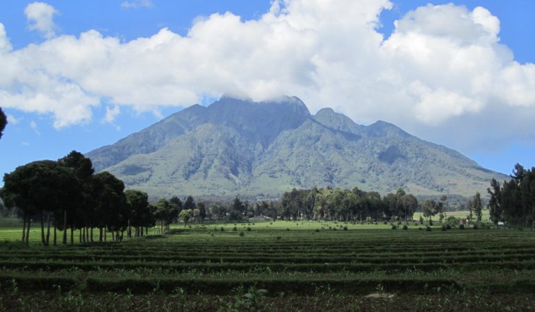 volcanoes national park rwanda